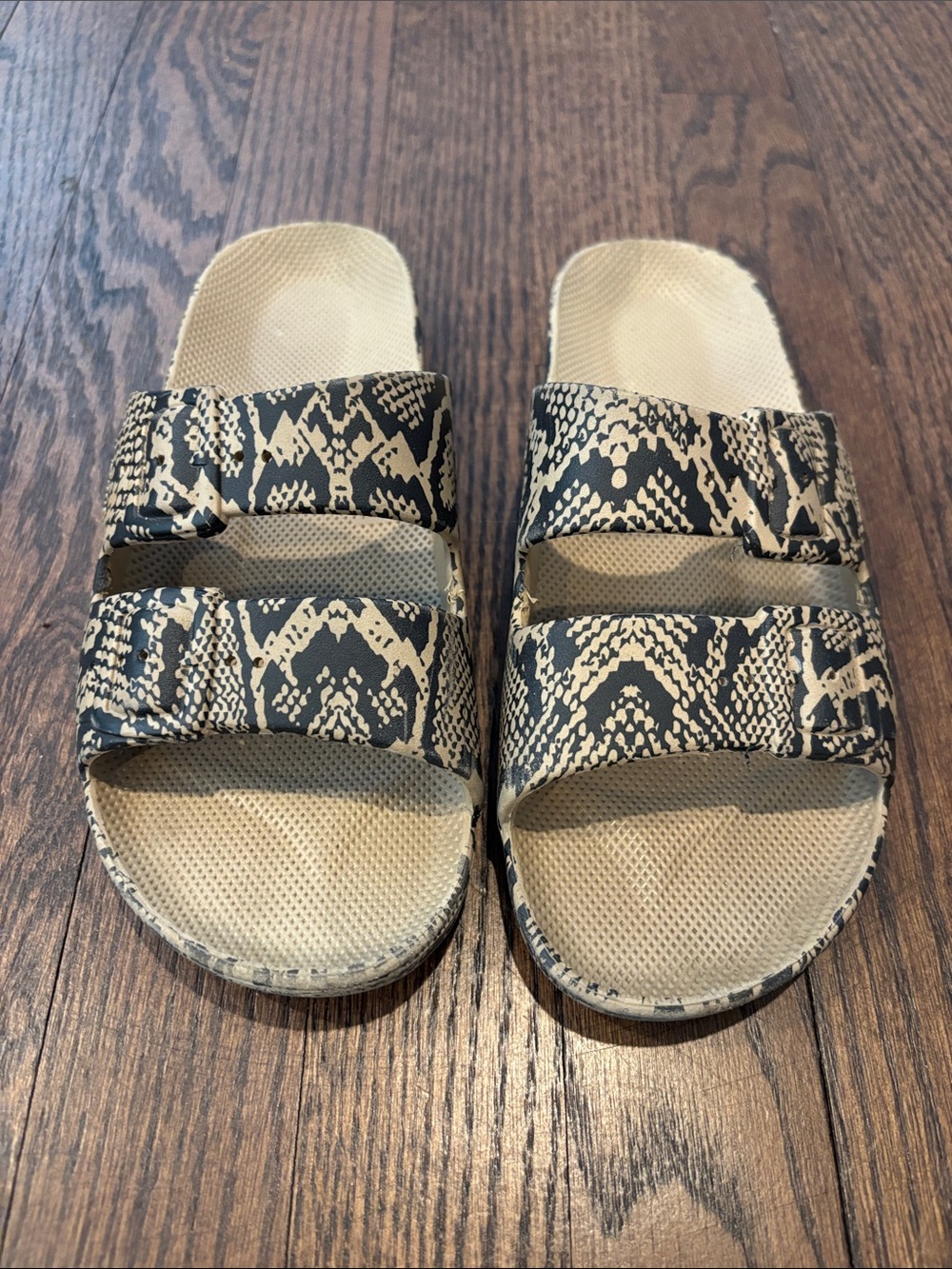 Freedom Moses Leo slides